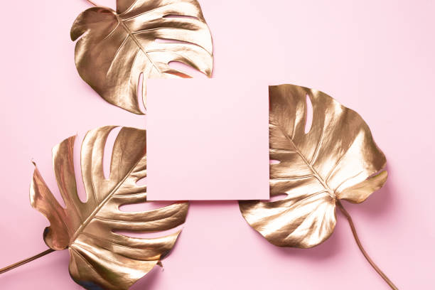 istock Golden tropical monstera leaf on pink background with copy space. Top view. Flat lay. Creative layout. Exotic summer concept in minimal style 1155442309
