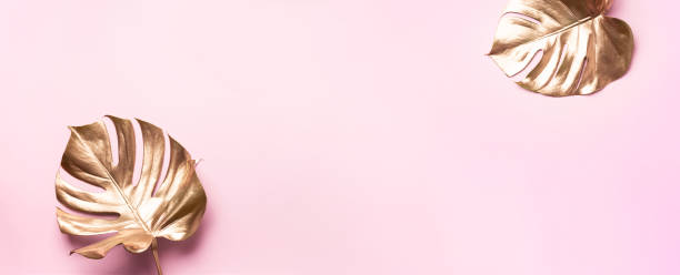istock Golden tropical monstera leaf on pink background with copy space. Top view. Flat lay. Creative layout. Exotic summer concept in minimal style 1155442367