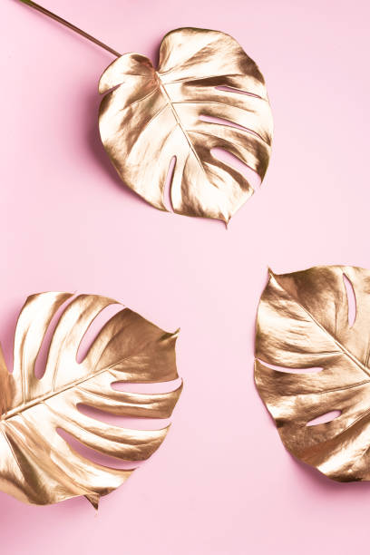 istock Golden tropical monstera leaf on pink background with copy space. Top view. Flat lay. Creative layout. Exotic summer concept in minimal style 1155442399
