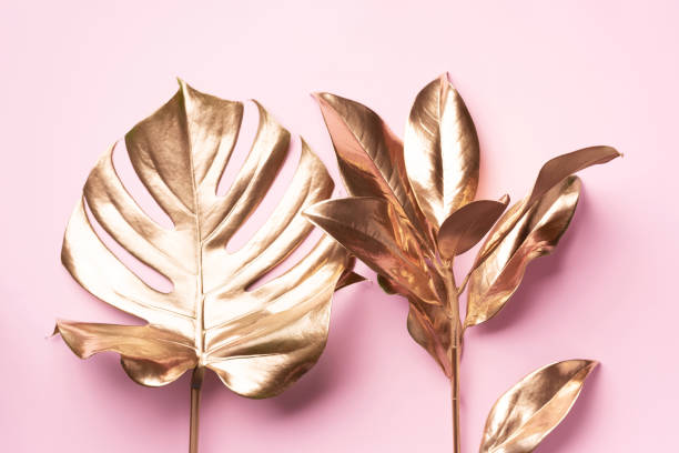 istock Golden tropical monstera leaf on pink background with copy space. Top view. Flat lay. Creative layout. Exotic summer concept in minimal style 1155442470