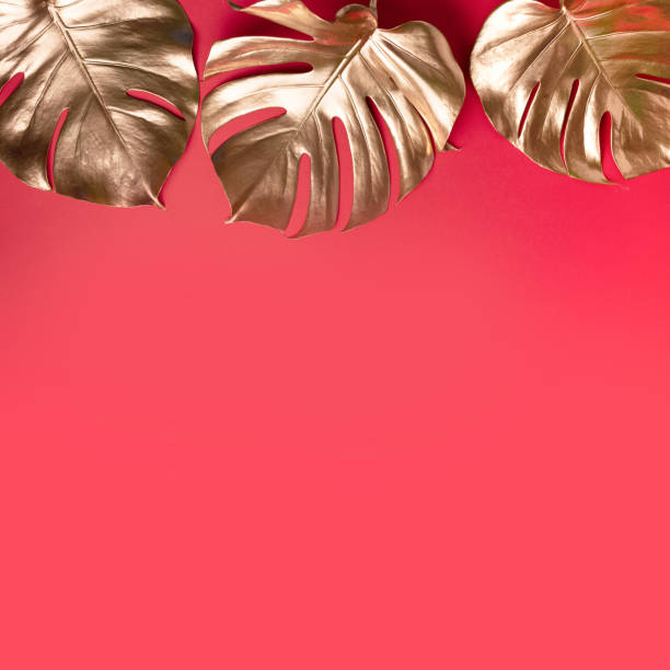 istock Golden tropical monstera leaf on red background with copy space. Top view. Flat lay. Creative layout. Exotic summer concept in minimal style 1155442570