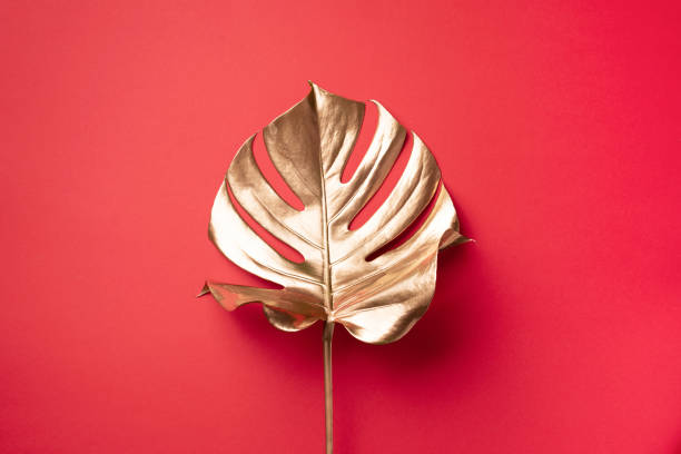 istock Golden tropical monstera leaf on red background with copy space. Top view. Flat lay. Creative layout. Exotic summer concept in minimal style 1155442592