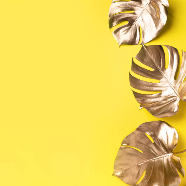 istock Golden tropical monstera leaf on yellow background with copy space. Top view. Flat lay. Creative layout. Exotic summer concept in minimal style 1155444008