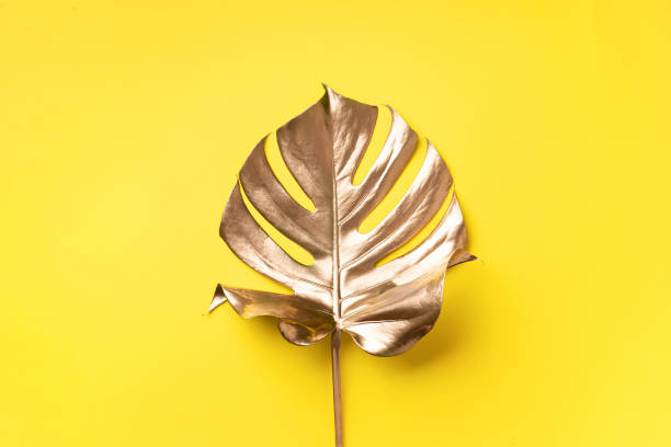 istock Golden tropical monstera leaf on yellow background with copy space. Top view. Flat lay. Creative layout. Exotic summer concept in minimal style 1155444010