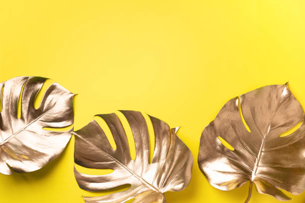 istock Golden tropical monstera leaf on yellow background with copy space. Top view. Flat lay. Creative layout. Exotic summer concept in minimal style 1155444092