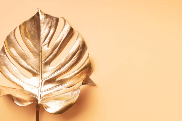 istock Golden tropical monstera leaf on nude background with copy space. Top view. Flat lay. Creative layout. Exotic summer concept in minimal style 1155444141