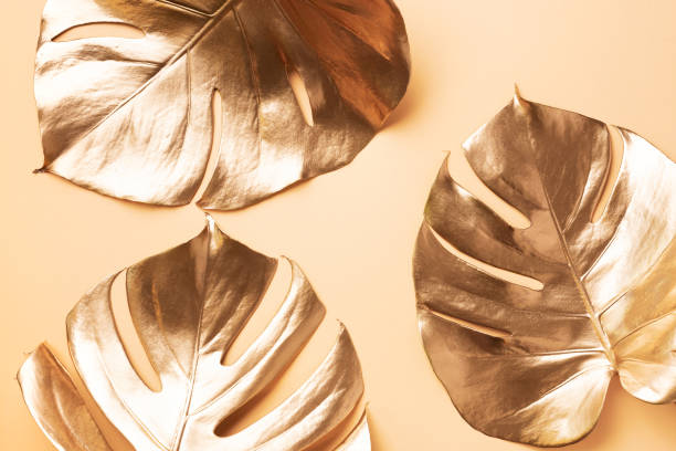 istock Golden tropical monstera leaf on nude background with copy space. Top view. Flat lay. Creative layout. Exotic summer concept in minimal style 1155444152