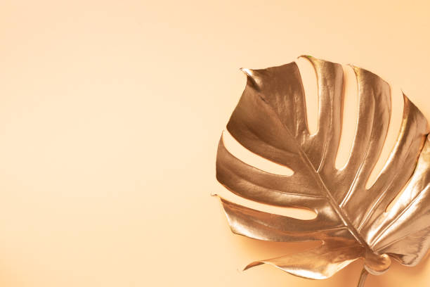 istock Golden tropical monstera leaf on nude background with copy space. Top view. Flat lay. Creative layout. Exotic summer concept in minimal style 1155444158