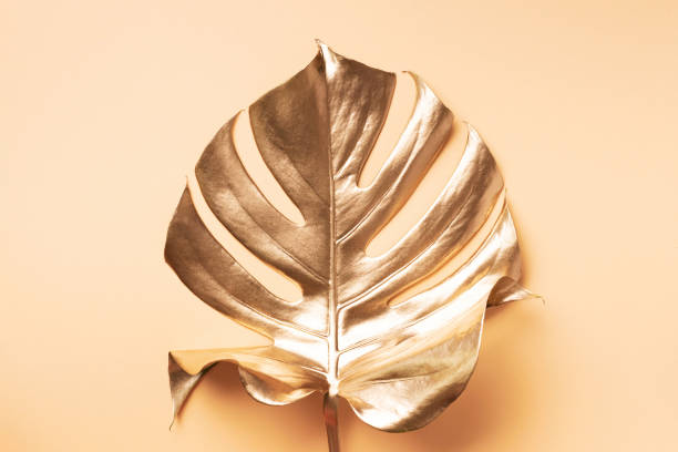 istock Golden tropical monstera leaf on nude background with copy space. Top view. Flat lay. Creative layout. Exotic summer concept in minimal style 1155444171