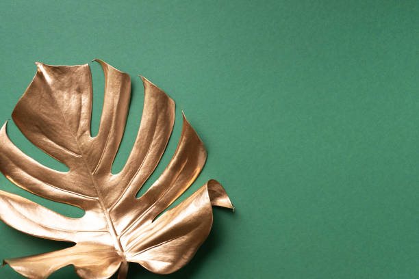 istock Golden tropical monstera leaf on nude background with copy space. Top view. Flat lay. Creative layout. Exotic summer concept in minimal style 1155444231