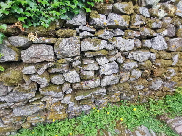istock old stone wall path in italy cinque terre 1155444288