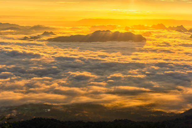 istock Foggy mountain in deep forest at sunrise. 1155444643