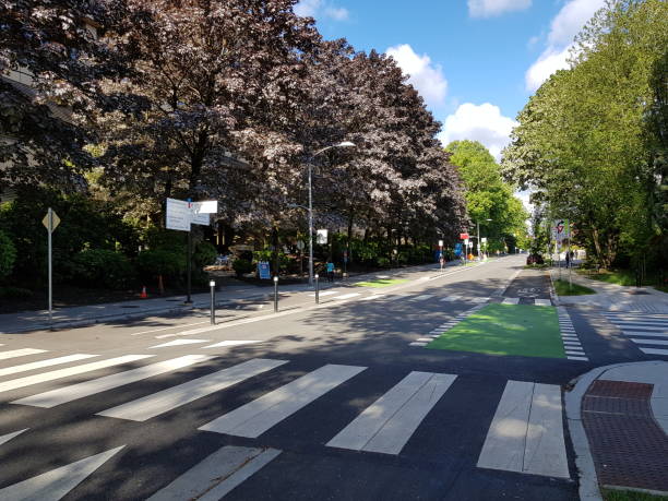 Pedestrian lines.  Bike lines