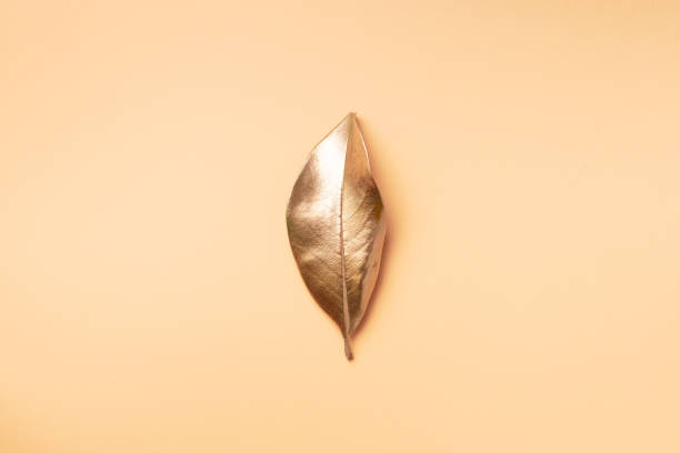 istock Golden leaf on nude background. Top view. Copy space. Summer and autumn concept. Creative design elements for invitation, wedding cards, valentines day, greeting cards. 1155445898