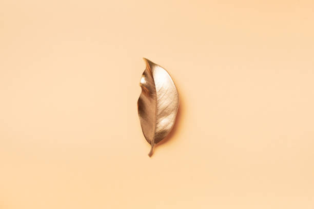 istock Golden leaf on nude background. Top view. Copy space. Summer and autumn concept. Creative design elements for invitation, wedding cards, valentines day, greeting cards. 1155445901