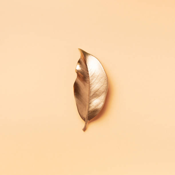 istock Golden leaf on nude background. Top view. Copy space. Summer and autumn concept. Creative design elements for invitation, wedding cards, valentines day, greeting cards. 1155445912
