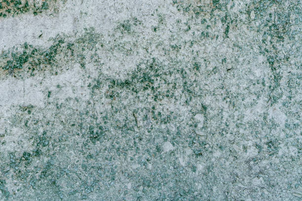 istock concrete grunge grey surface, abstract rustic background, retro wall, copy space for your texts 1155446179