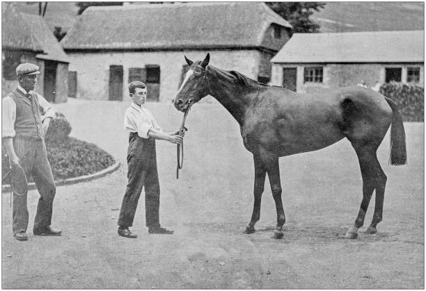 istock Antique vintage black and white photo: Racing horse 1155446423