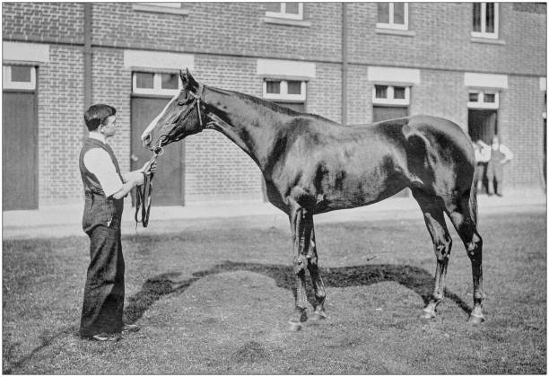 istock Antique vintage black and white photo: Racing horse 1155446794