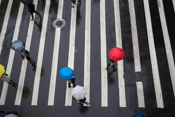 istock Pedestrian crossing on rainy day in Taipei 1155448135
