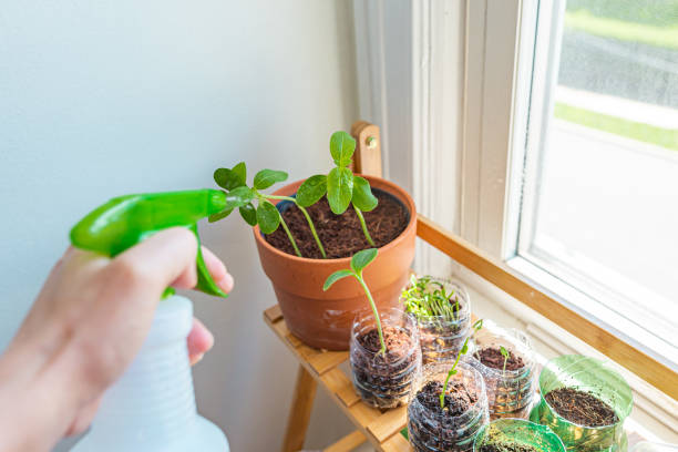 istock Taking care of my garden 1155448369