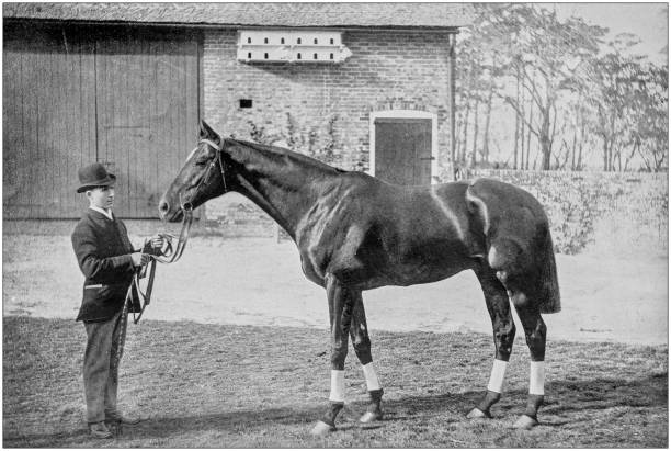 istock Antique vintage black and white photo: Racing horse 1155449223
