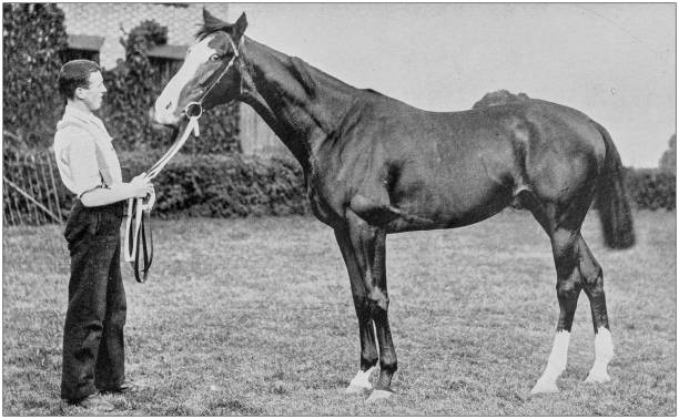 istock Antique vintage black and white photo: Racing horse 1155449483