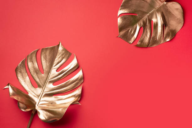 istock Golden tropical monstera leaf on red background with copy space. Top view. Flat lay. Creative layout. Exotic summer concept in minimal style 1155449557