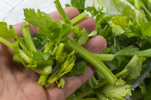 istock slide of Fresh celery plant on glass bowl 1155450146