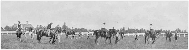 istock Antique vintage black and white photo: Racing horse 1155450942