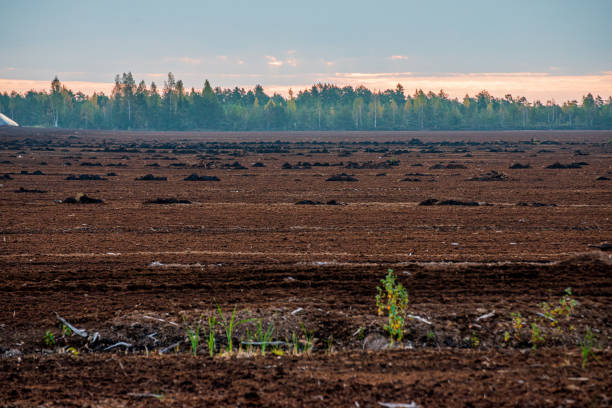 istock empty countryside life landscape in late autumn 1155451255
