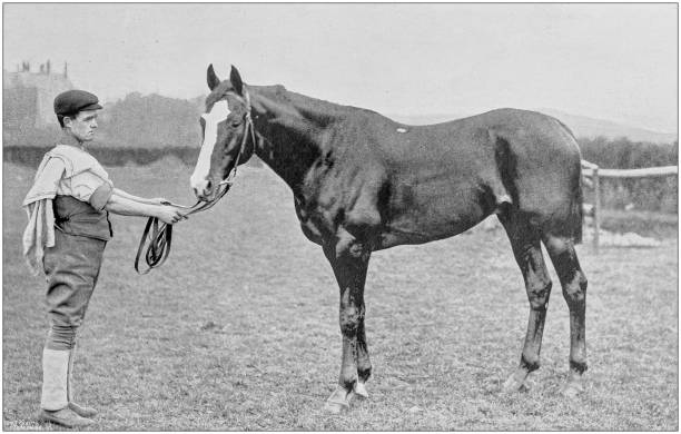 istock Antique vintage black and white photo: Racing horse 1155451343