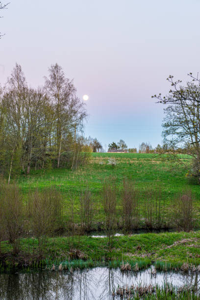 istock winter surise over countryside fields and forest in cold 1155451408