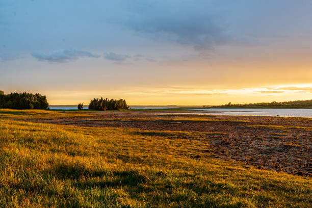 istock empty countryside life landscape in late autumn 1155451740