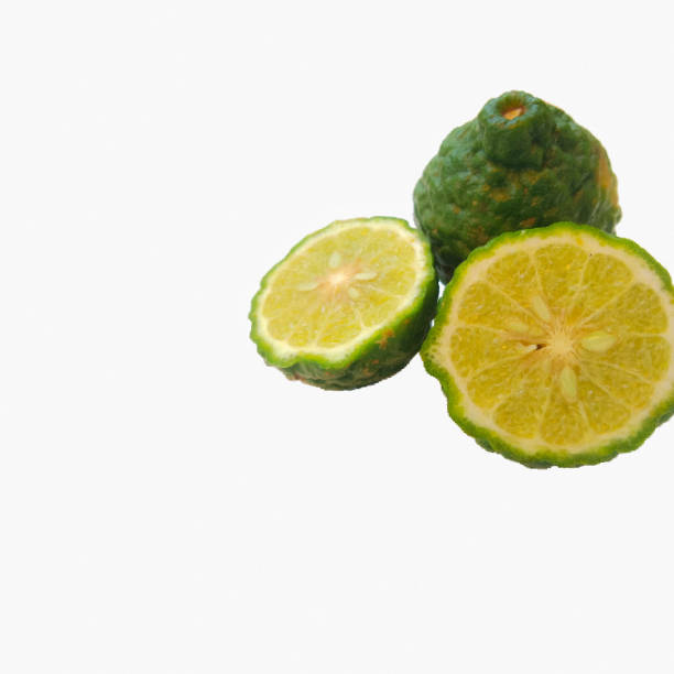 istock Kaffir lime helps cure the disease and still has many sentences. Kaffir lime leaves help to cure cough, relieve vomiting, help to cure bruising  Both kaffir lime leaves are also rich in beta-carotene, which helps to slow down the growth of cancer cells. 1155451830