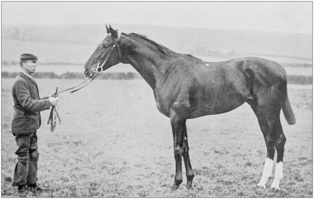 istock Antique vintage black and white photo: Racing horse 1155451911