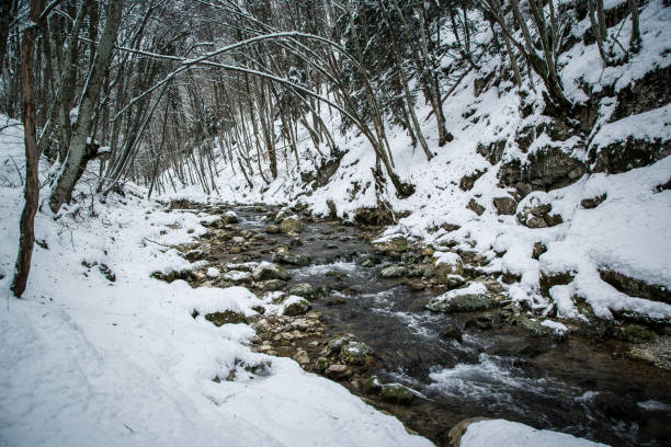 istock Winter landscape with the wood river. Russian winter 1155453892
