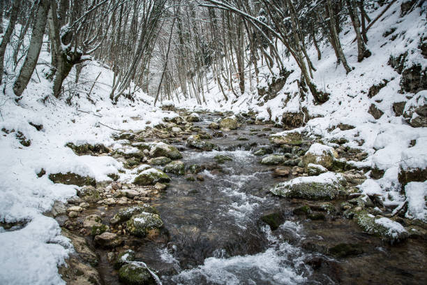 istock Winter landscape with the wood river. Russian winter 1155453913