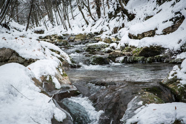 istock Winter landscape with the wood river. Russian winter 1155453921