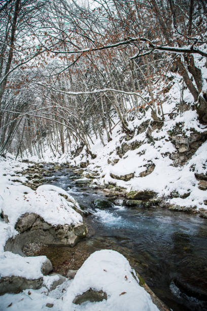 istock Winter landscape with the wood river. Russian winter 1155454096
