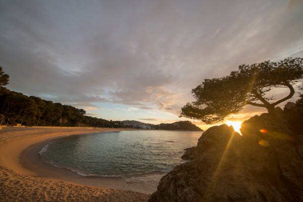 istock Fenals beach in Lloret de Mar at sunrise 1155454513