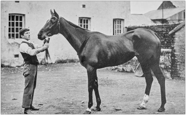 istock Antique vintage black and white photo: Racing horse 1155457126