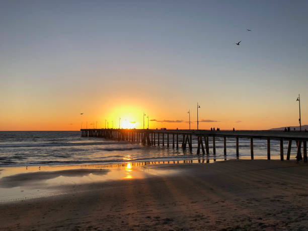 istock Sunset at Venice pier with low tide and birds 1155457556