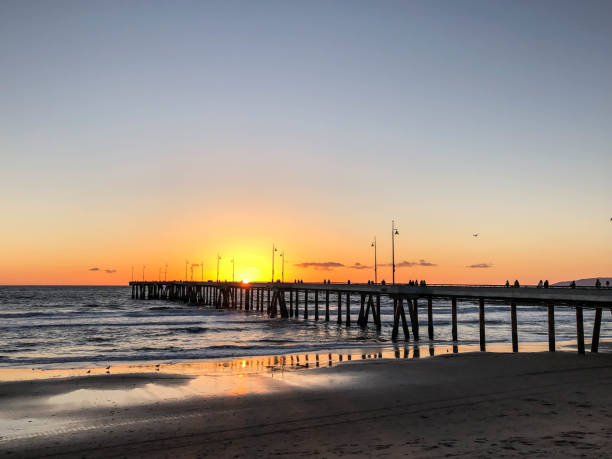 istock Sunset at Venice pier with low tide and birds 1155457629