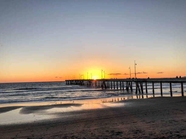 istock Sunset at Venice pier with low tide and birds 1155457639