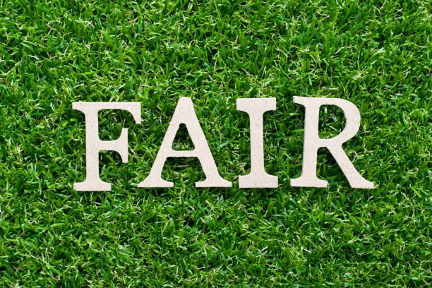istock Wood alphabet in word fair on artificial green grass background 1155460521