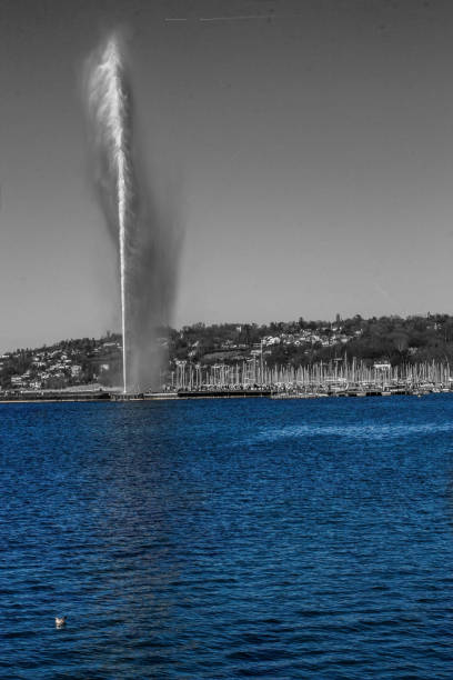 istock Blue Lake In Geneva ! 1155460590