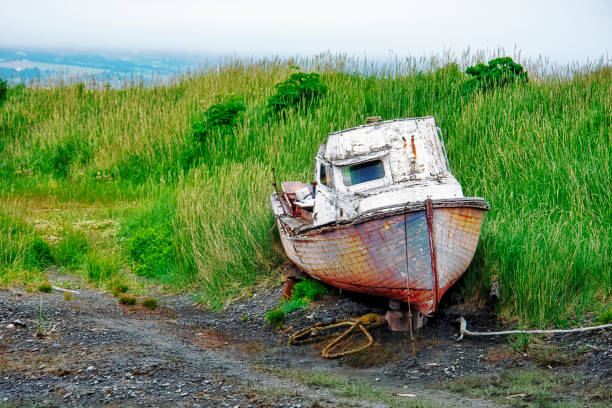 Shipwreck on the waters edge shoreline at Pornic, Pays de Loire, France. This barnacle encrusted and rusting hulk, once a fishing trawler, has been run ashore and sunk on the beach and is now abandoned to the sea and seaweed.