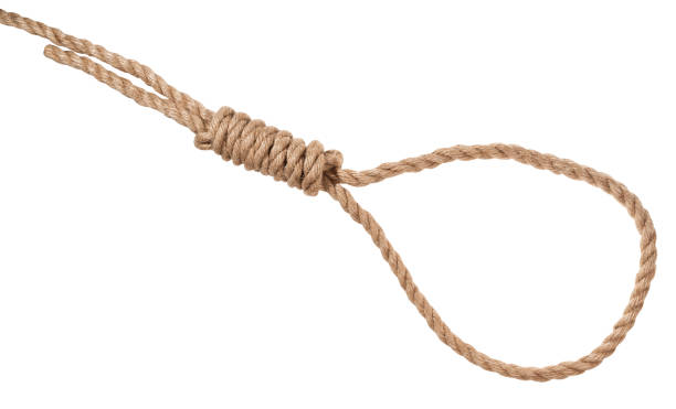istock hangman's knot tied on thick jute rope isolated 1155463100