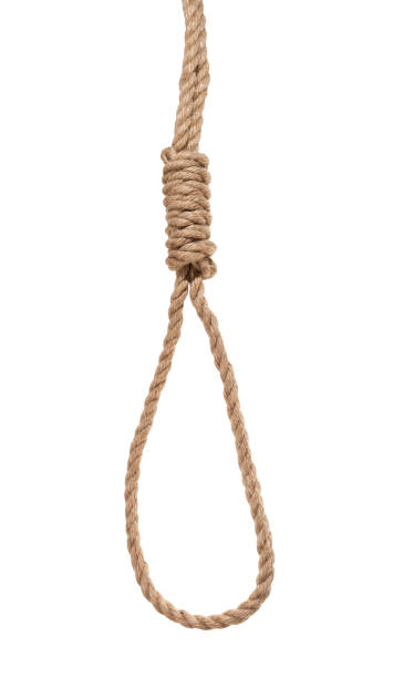 istock hangman's noose from thick jute rope isolated 1155463101